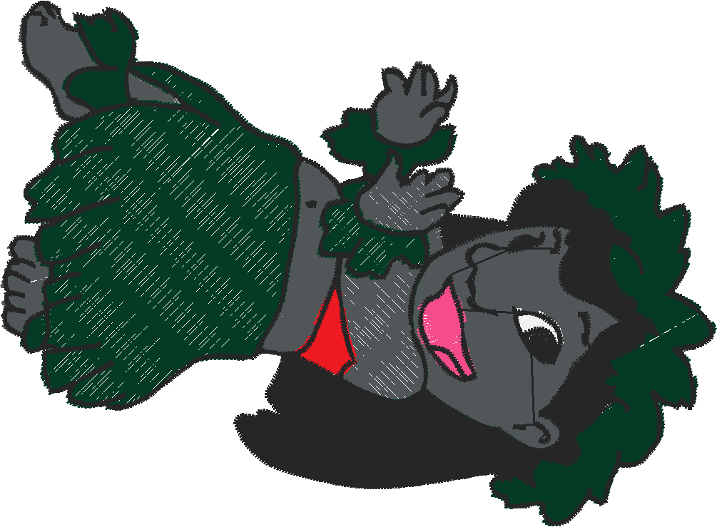 Lilo13x4110