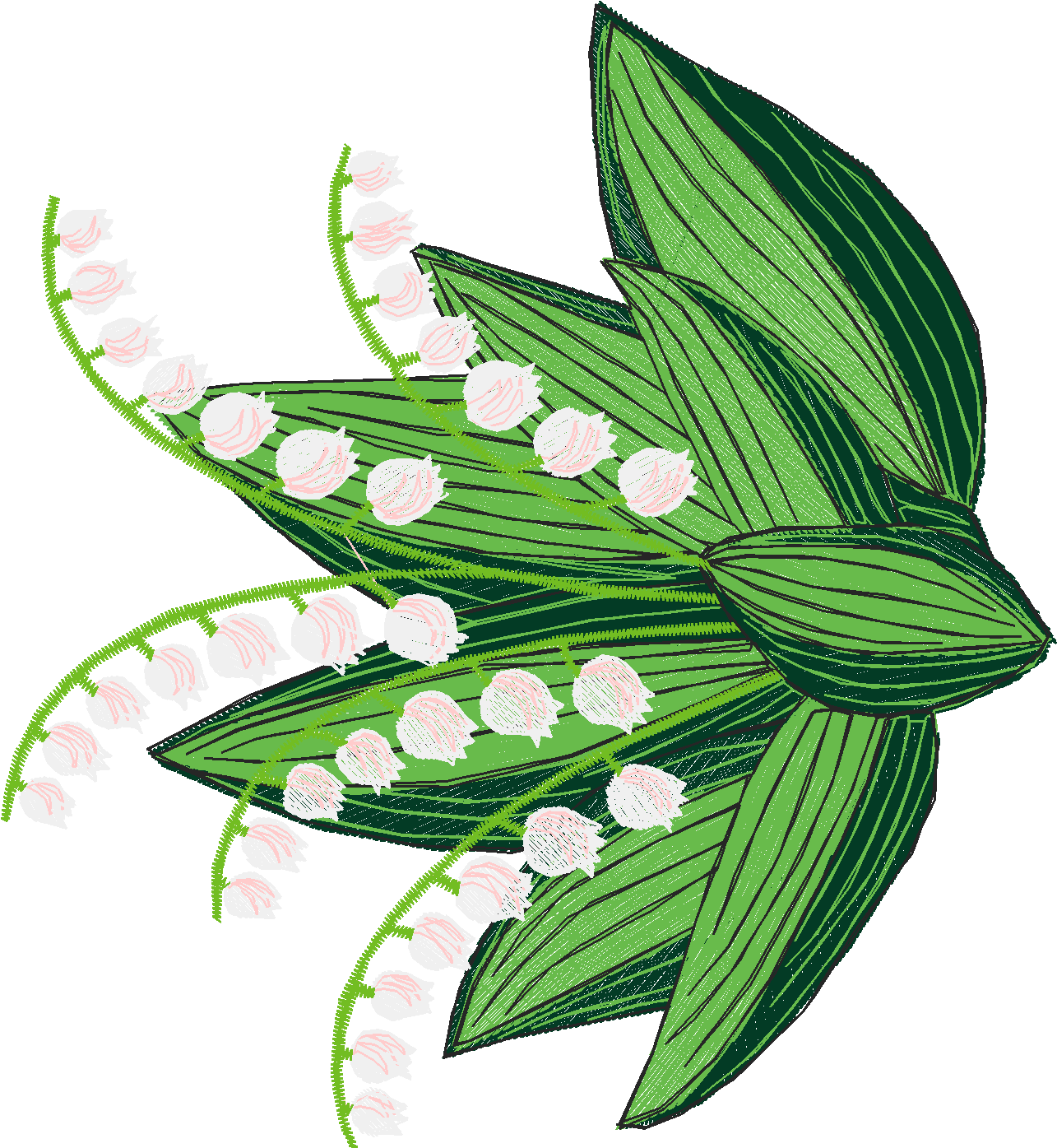 Lily of the Valley
