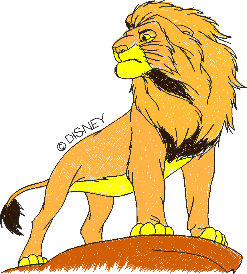 Lion King 1   Disney  (29)