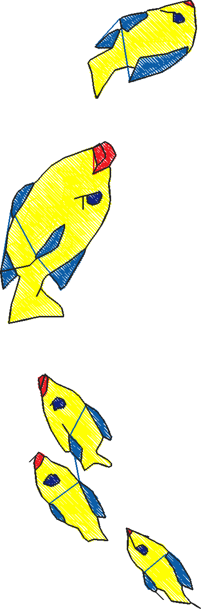 No02