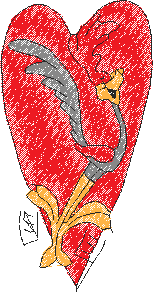 Dsetv218