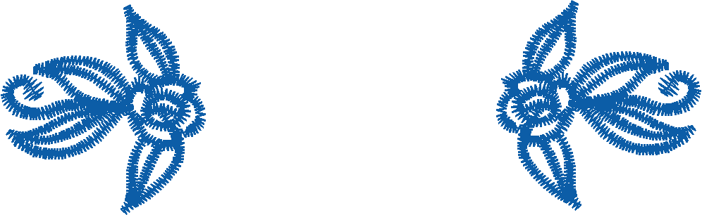 Border5