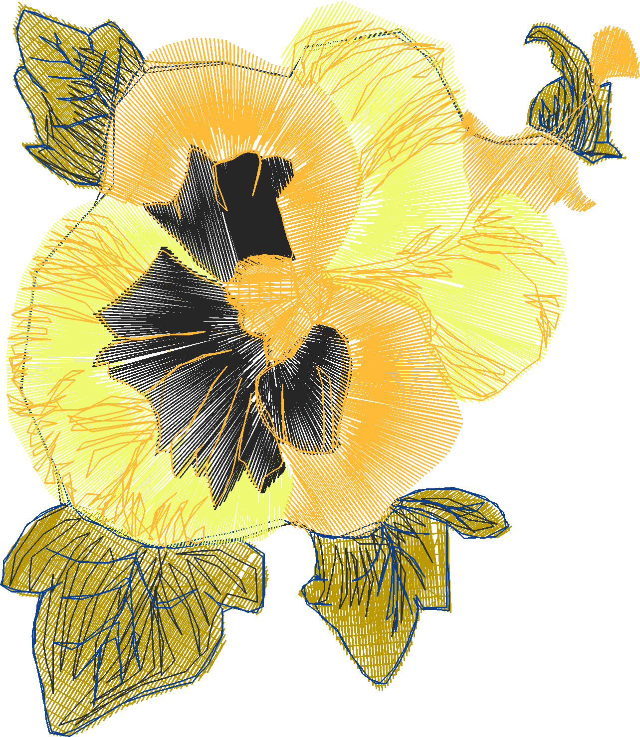 Pansies Collection