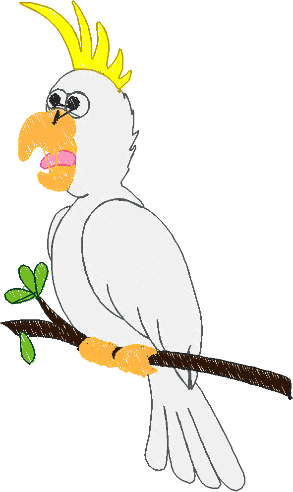Parrots