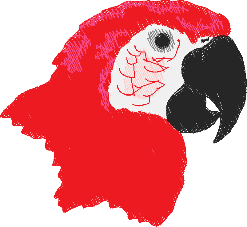Parrots 1  (12)