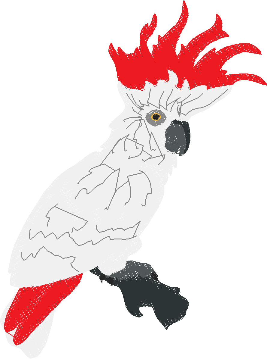 Parrots 1  (17)