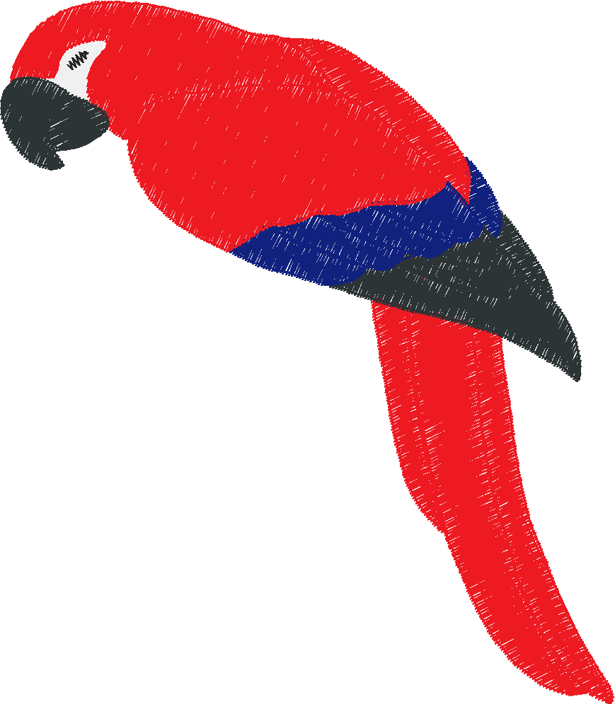 Parrots 1  (22)