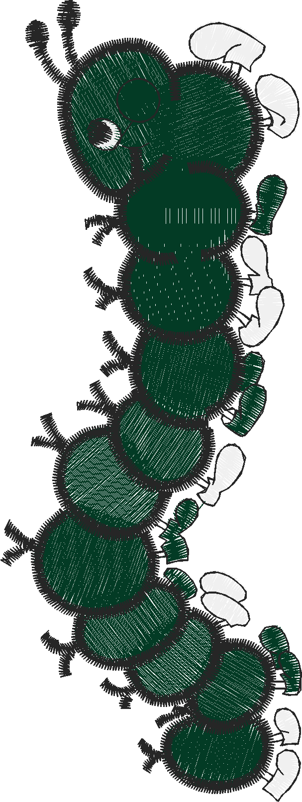 Pattern Combinations 1  (14)