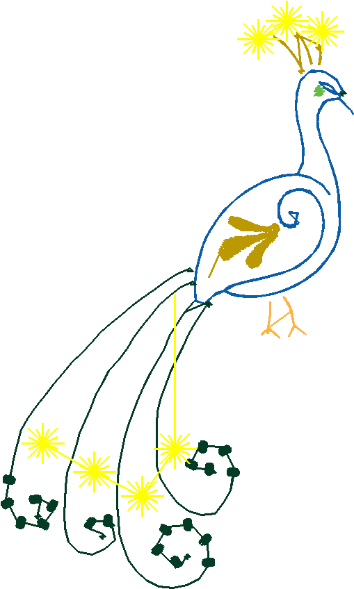 Peacocks 1  (2)