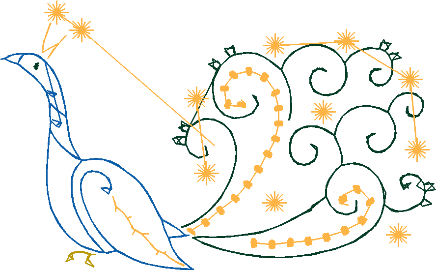 Peacocks 1  (6)