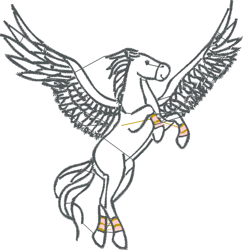 Pegasus 2