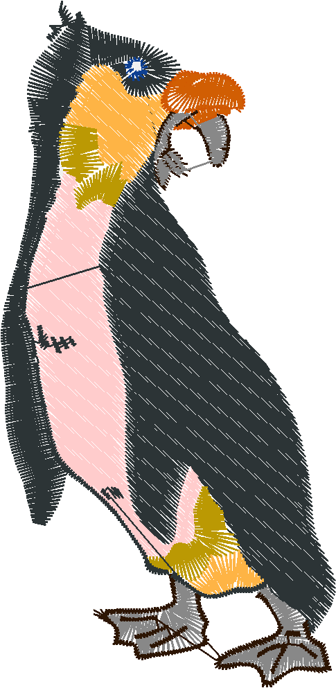 Penguins 2  (2)