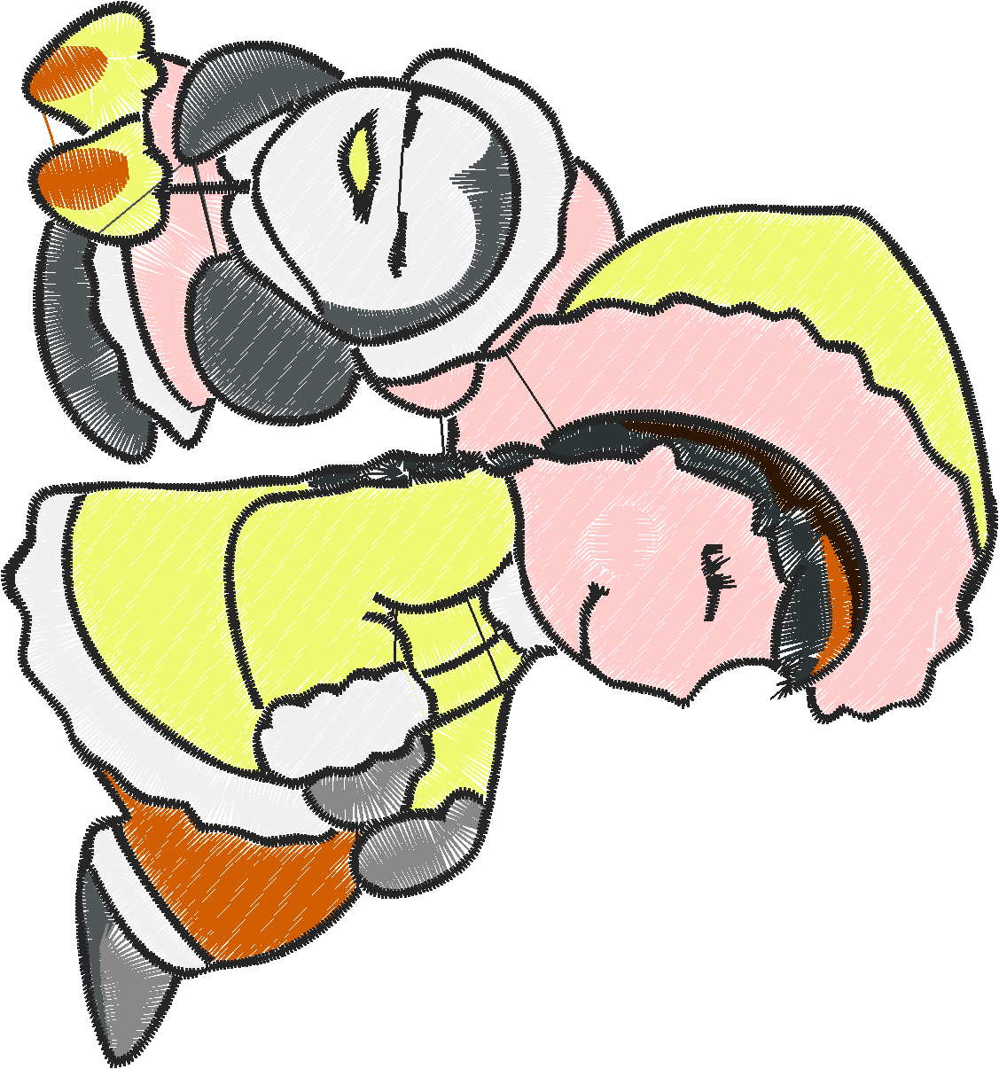 Penguins And Eskimos 2 (4)