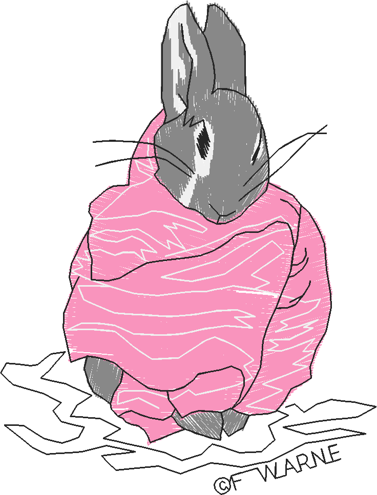 Peter Rabbit 1  (5)   Small
