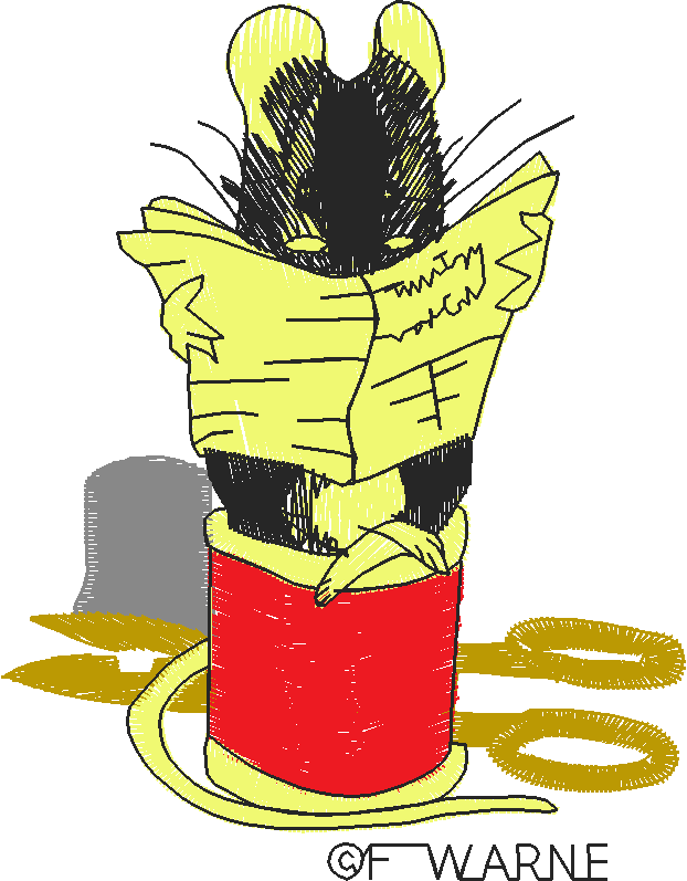 Peter Rabbit 1  (7)   Small