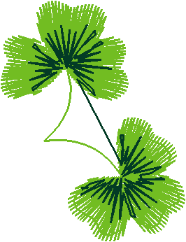 Petite Petals 1  (28)