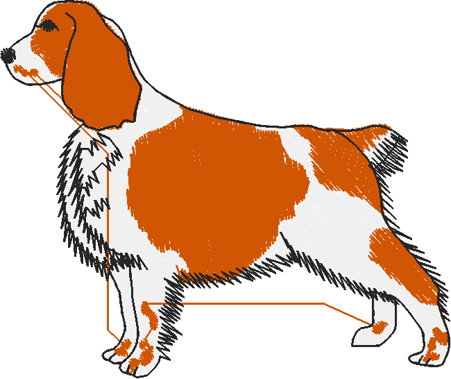Pets 1  (11)