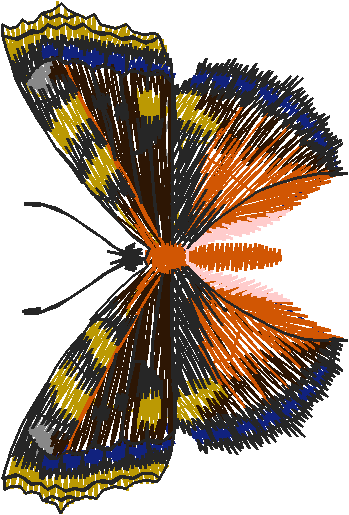 Pfaff 3  (78)