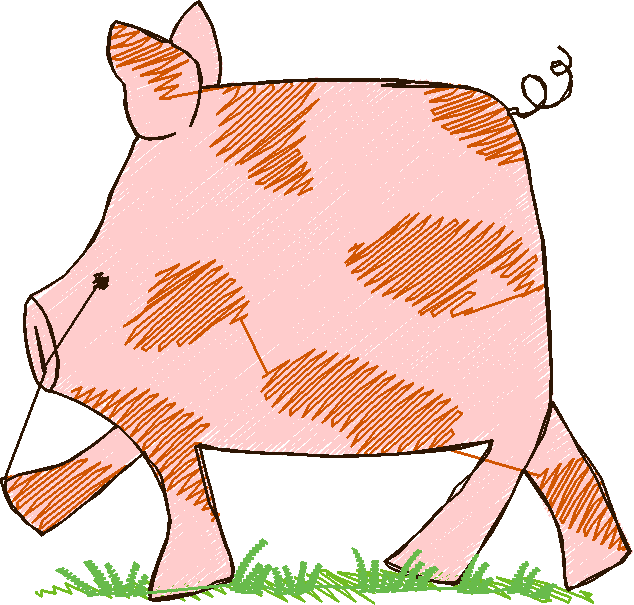 Pigs