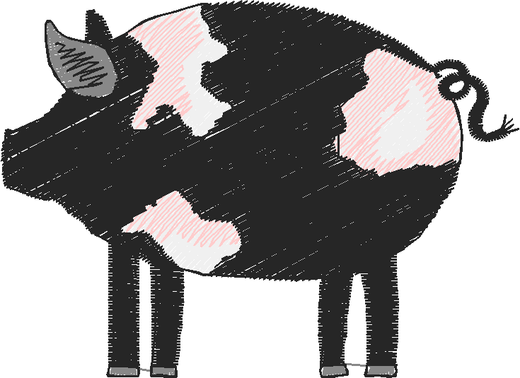 Pigs 1  (3)