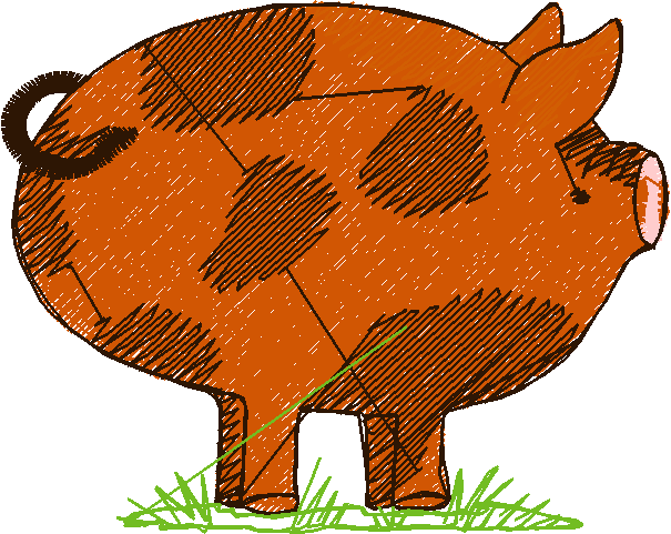 Pigs 1  (32)