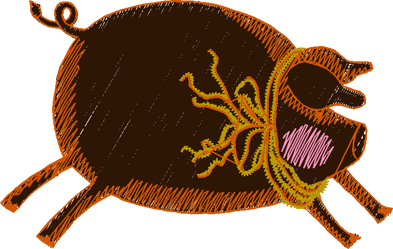 Pigs 1  (37)