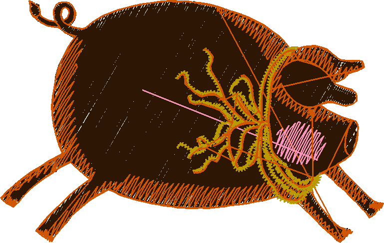 Pigs 1  (38)