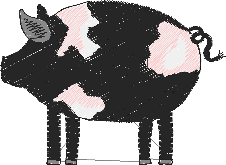 Pigs 1  (4)