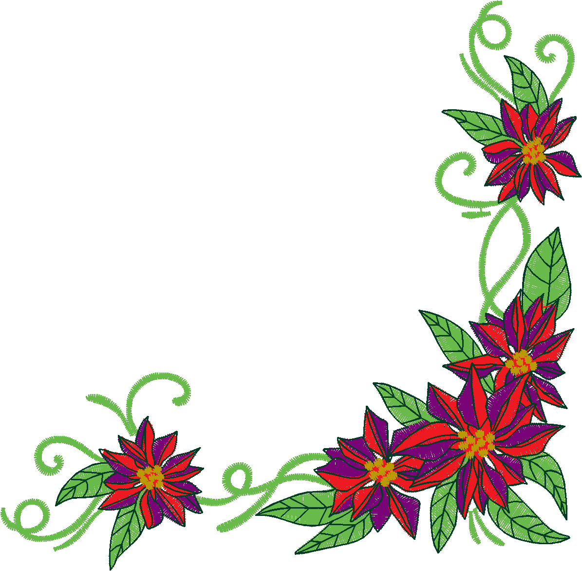 Poinsetta  (4)