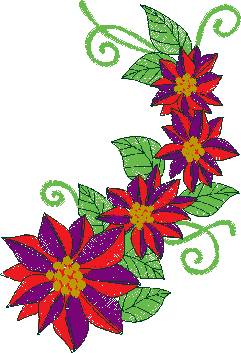 Poinsetta  (8)