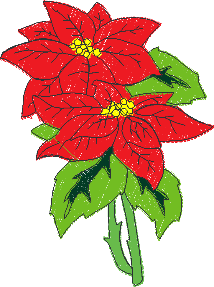Poinsettias  1 (10)