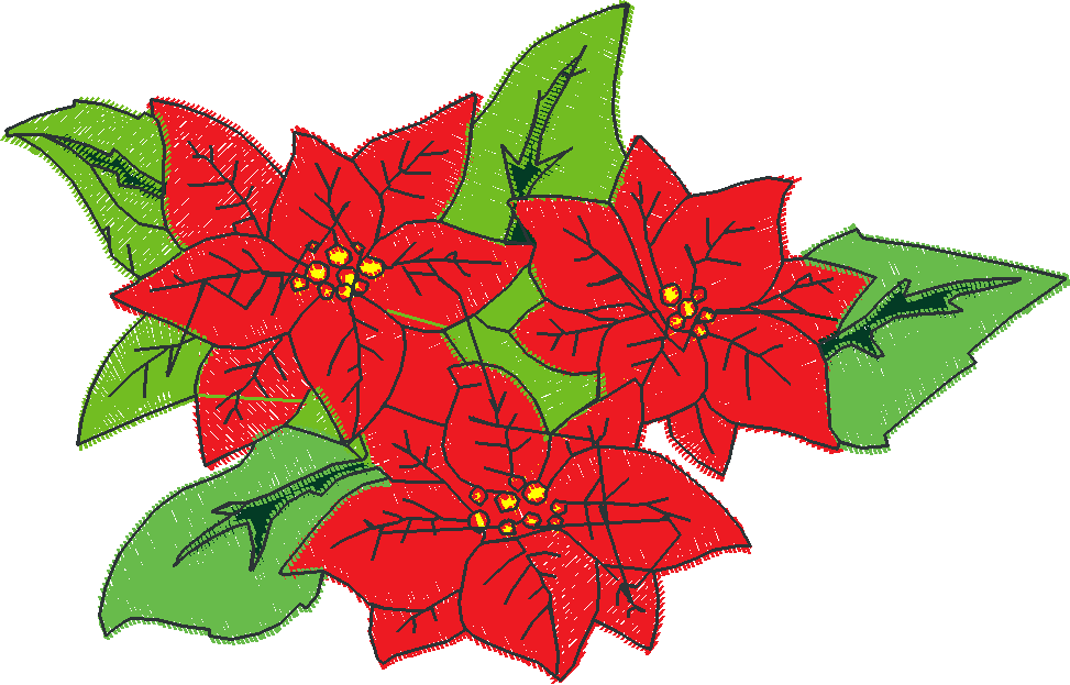 Poinsettias  1 (3)