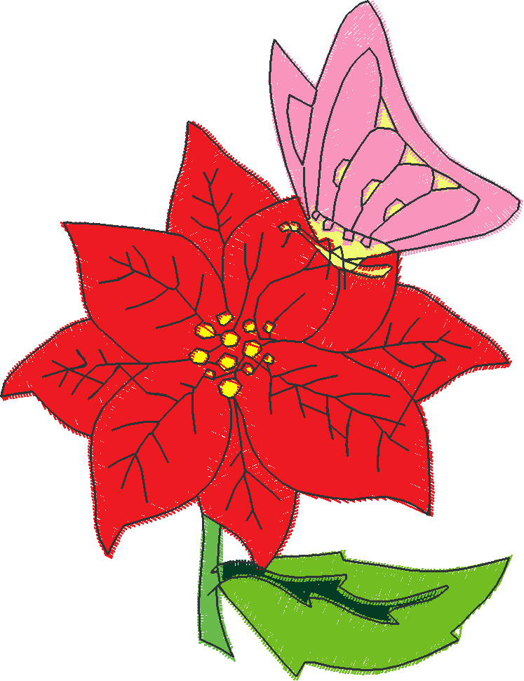 Poinsettias  1 (5)