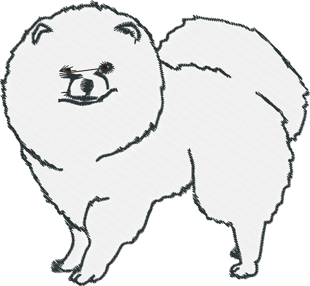 Pomeranians