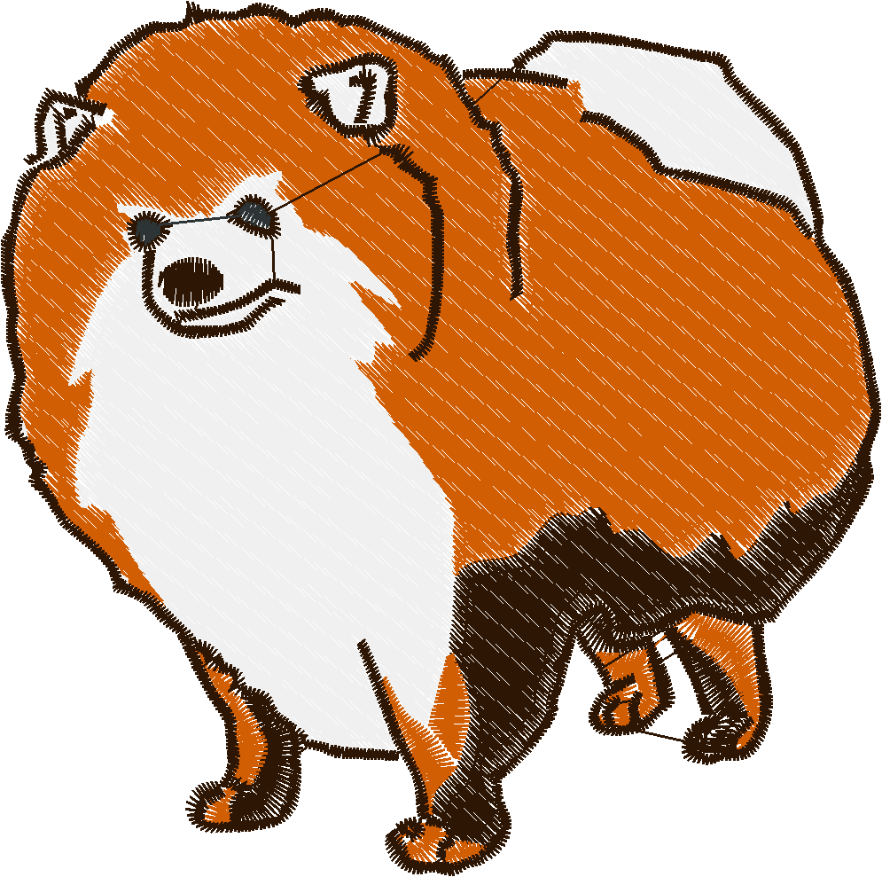 Pomeranians 1  (10)
