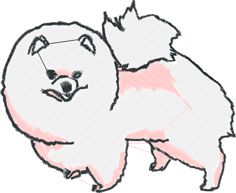 Pomeranians 1  (6)