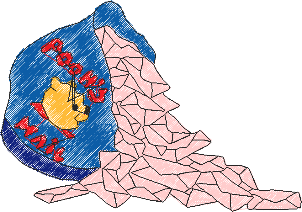 Dsetv120