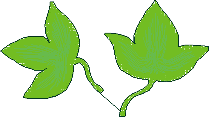 Pressed Leaves 1  (17)