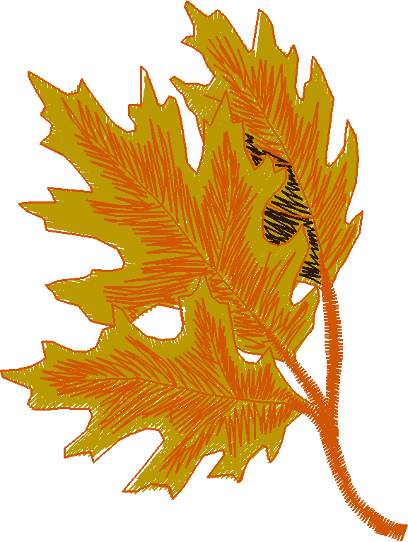 Pressed Leaves 1  (20)