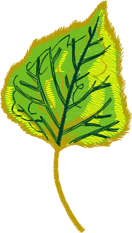 Pressed Leaves 1  (24)
