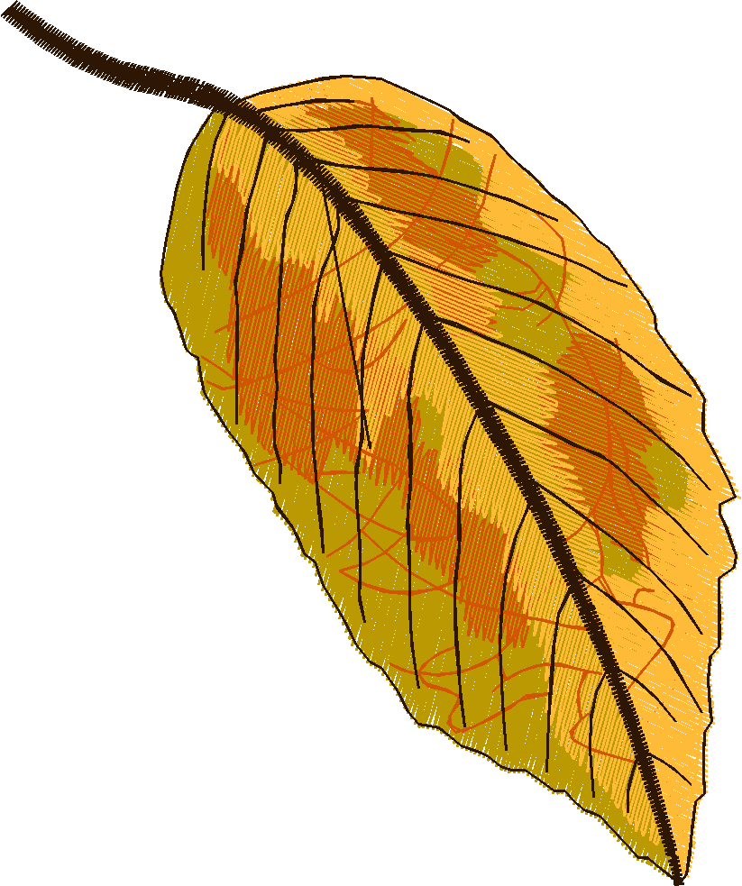 Pressed Leaves 1  (28)