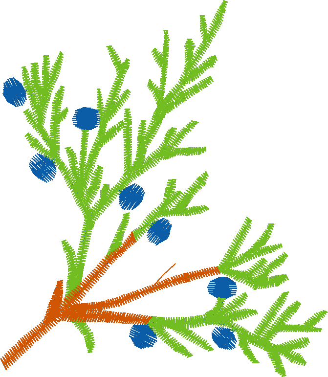 Pressed Leaves 1  (7)