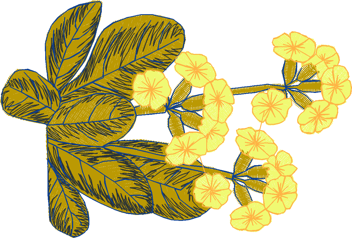 Primroses 1  (5)