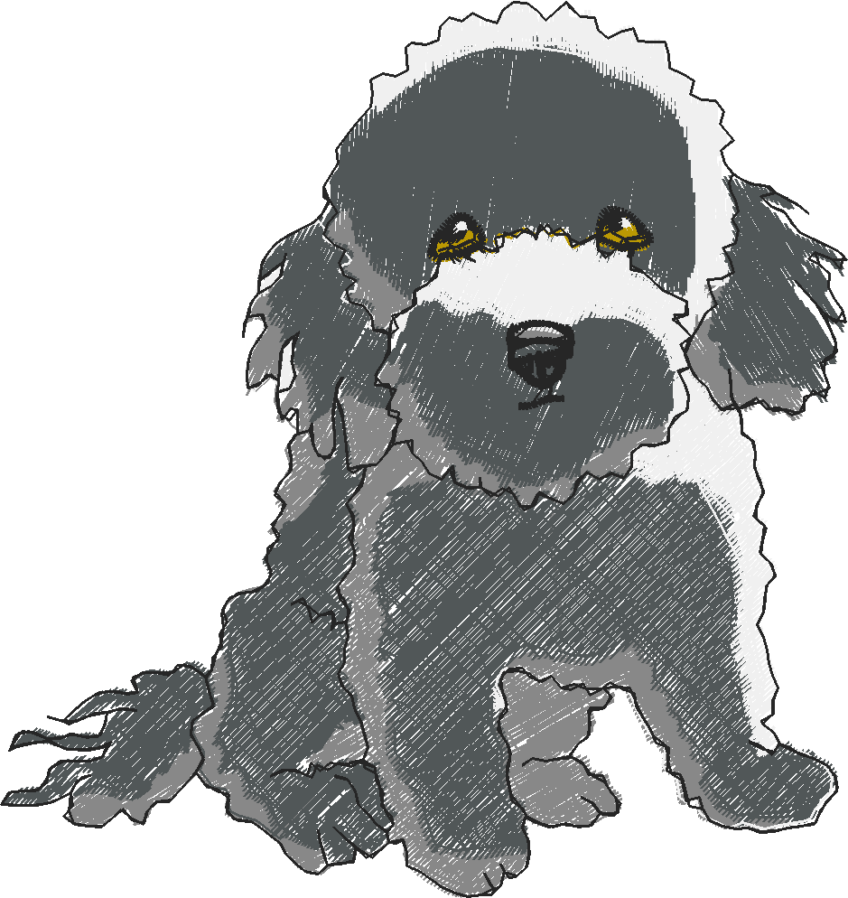 Puppies 5  (1)