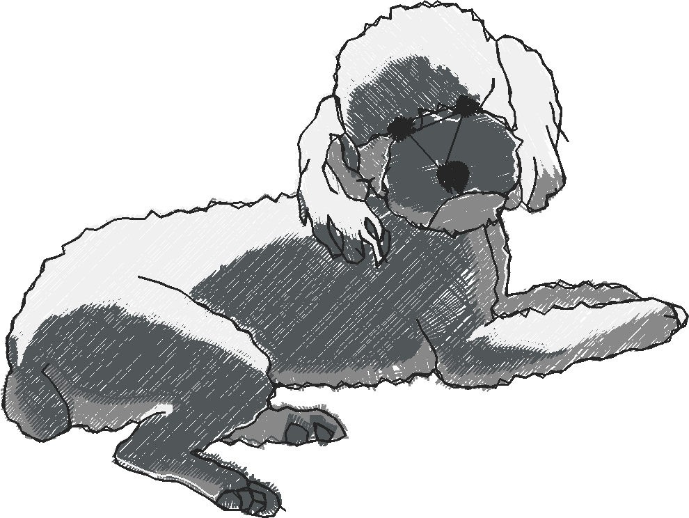 Puppies 5  (2)