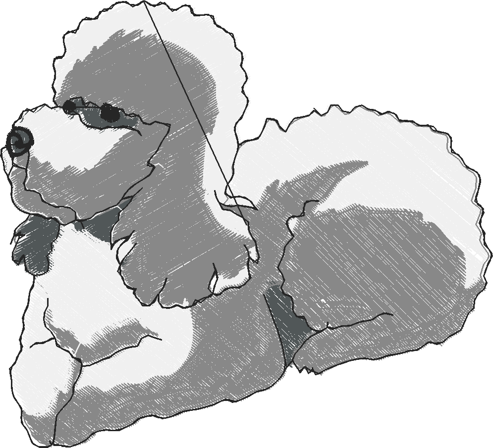 Puppies 5  (6)