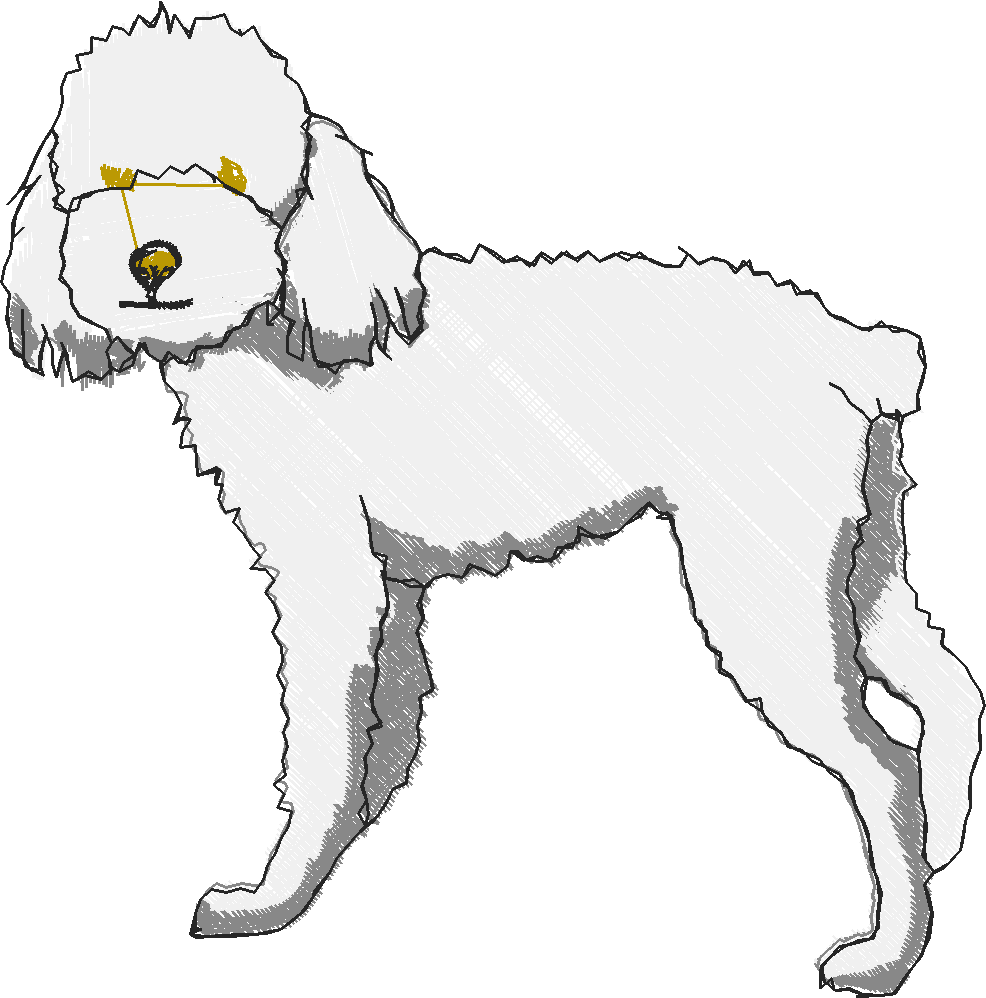 Puppies 5  (8)