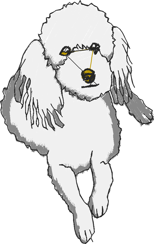 Puppies 5  (9)