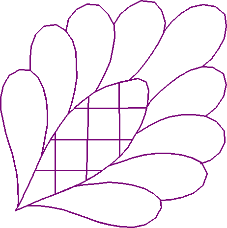 Quilting 15  (22)