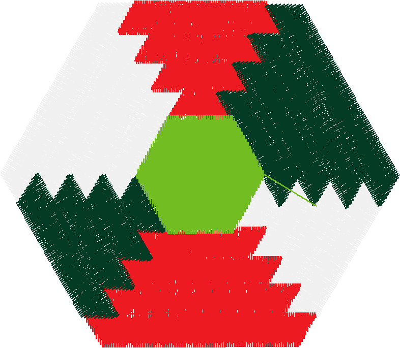 Quilting 18  (13)